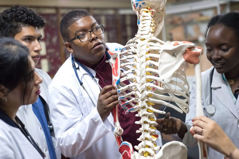 6 Easiest Physical Therapy Schools To Get Into (2023 Updated)
