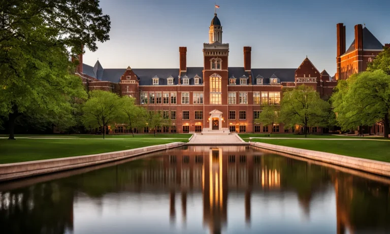 Demystifying Washu’S Ed2 Acceptance Rate: What Are Your Chances Of Getting In?