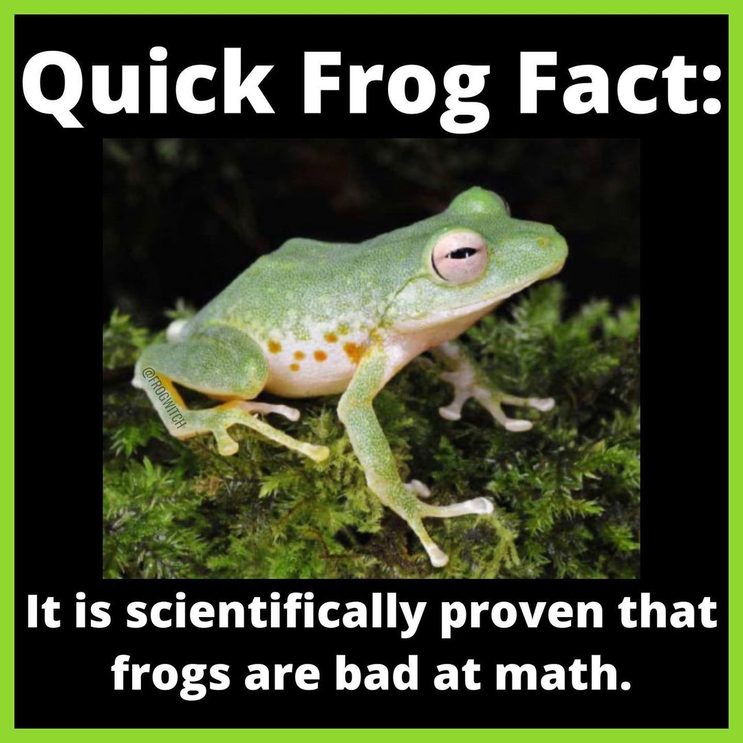frog bad at math