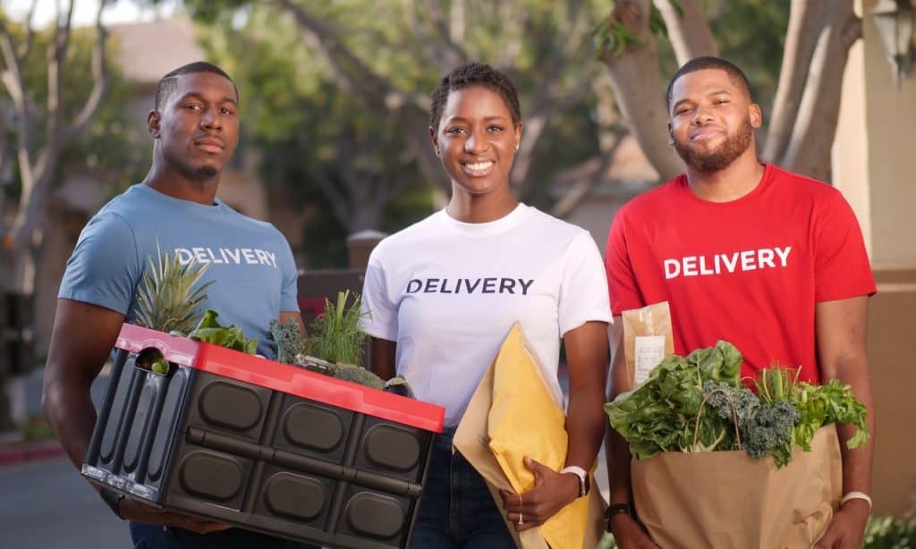 grocery delivery programs