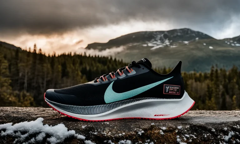 Nike Air Zoom Pegasus 37 Shield Review: The Ultimate All-Weather Running Shoe?