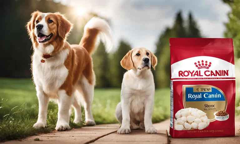 Why Is Royal Canin Pet Food So Expensive?
