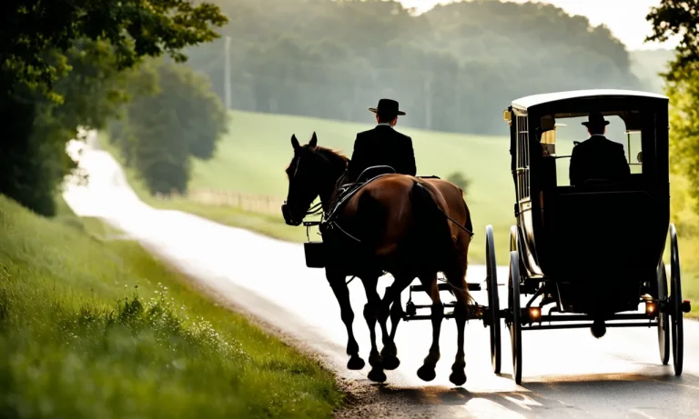 How Much Do Amish Pay Drivers?