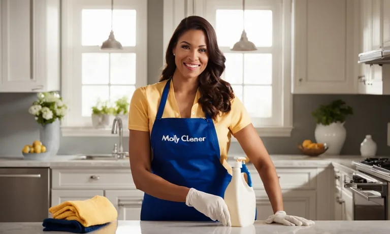 How Much Does Molly Maid Pay Their Cleaners In 2023?