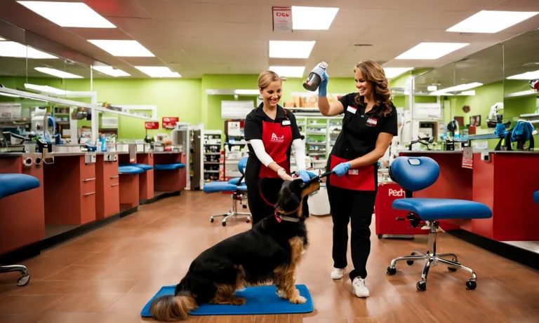 Petco Groomer Trainee Pay: How Much Do Petco Groomers Make?