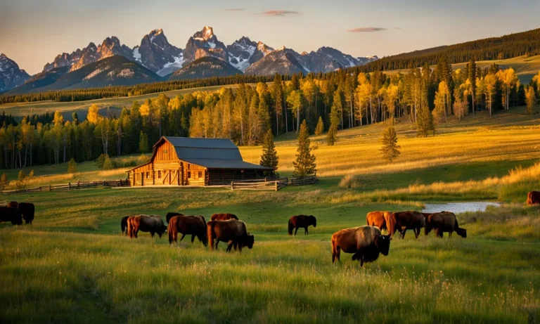 How Much Is The Yellowstone Ranch Worth?